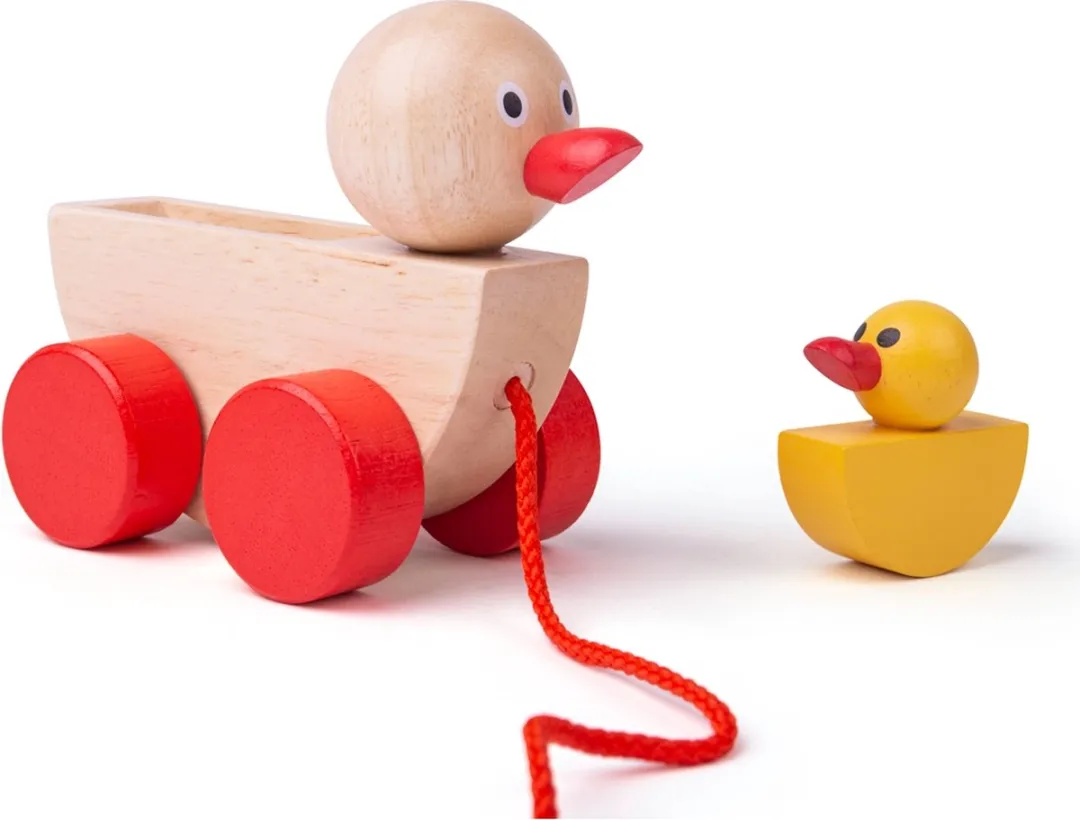 BIGJIGS Eend en Eendje Multikleur