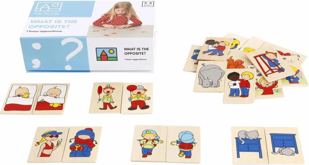 Toys for Life Wat is het tegenovergesteld?