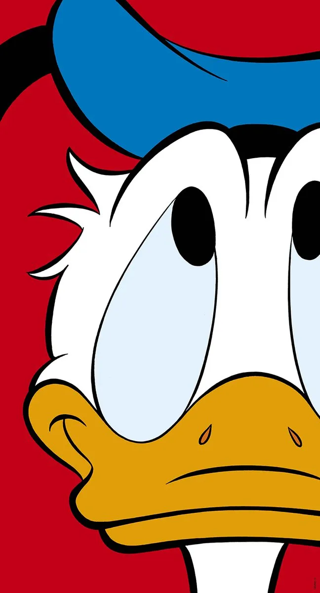 Disney Donald Duck Poster