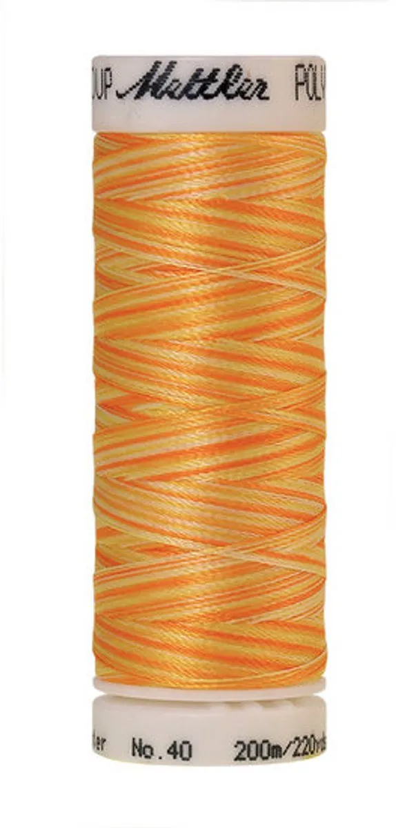 Amann Mettler Poly Multi Borduurgaren 9925 - 200m - Multicolor