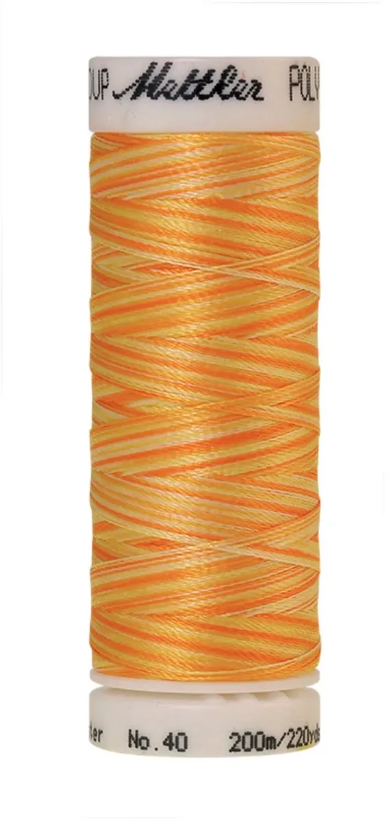 Amann Mettler Poly Multi Borduurgaren 9925 - 200m - Multicolor