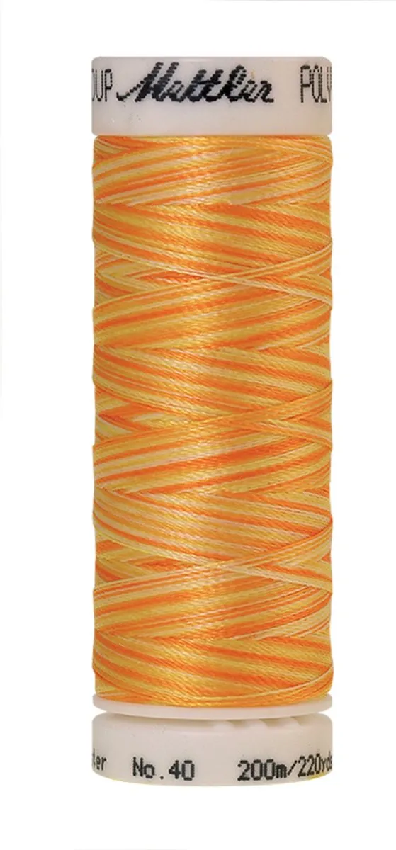 Amann Mettler Poly Multi Borduurgaren 9925