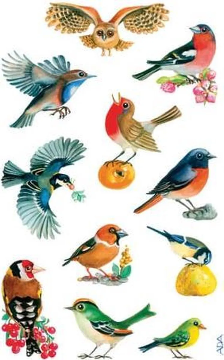 Avery Z-design Vogelstickers