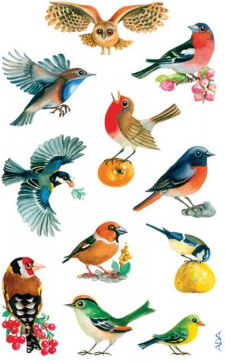 Avery Z-design Vogelstickers - 3 Vel Multicolor