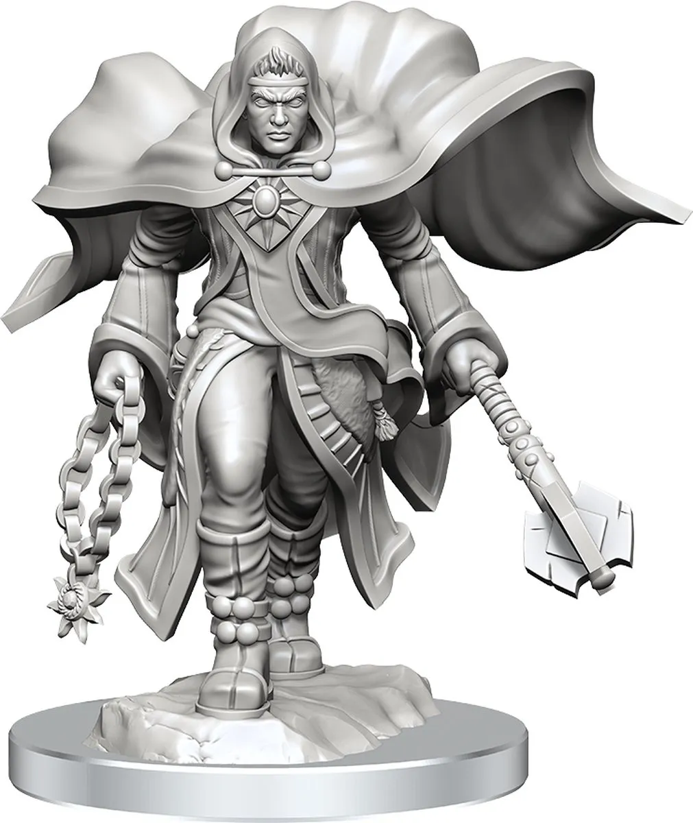 Wizkids D&D Nolzur's Marvelous Miniatures Aasimar Cleric - Man