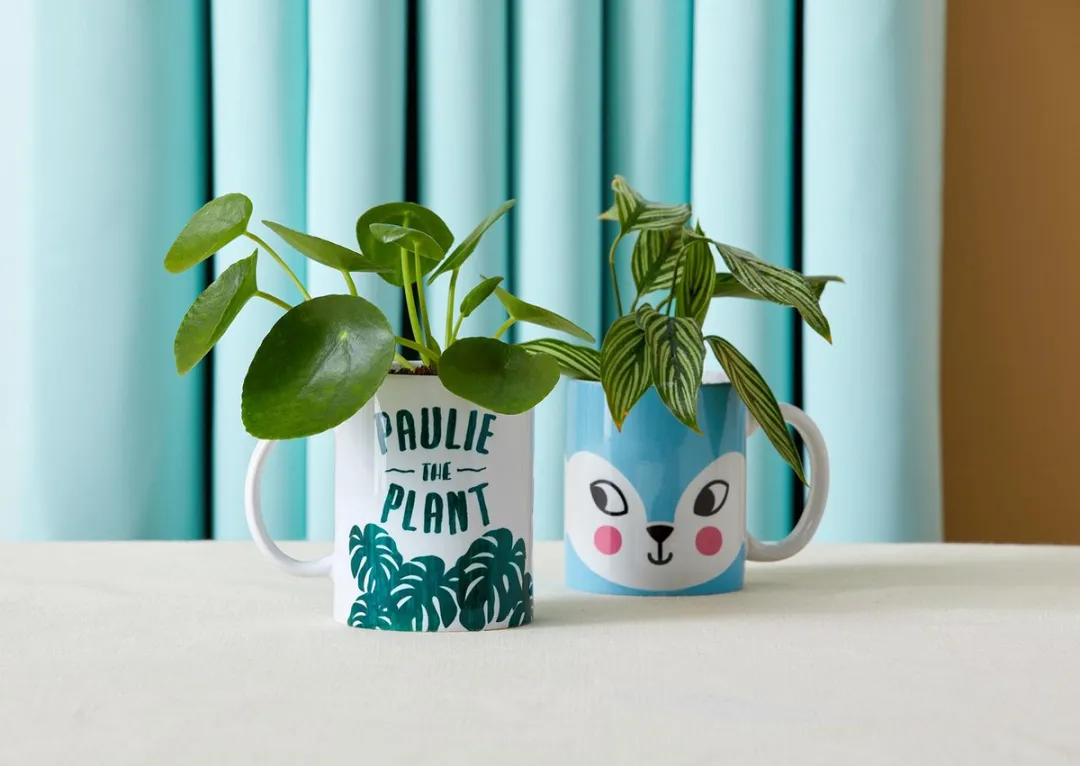 Cricut Mug Press - Wit