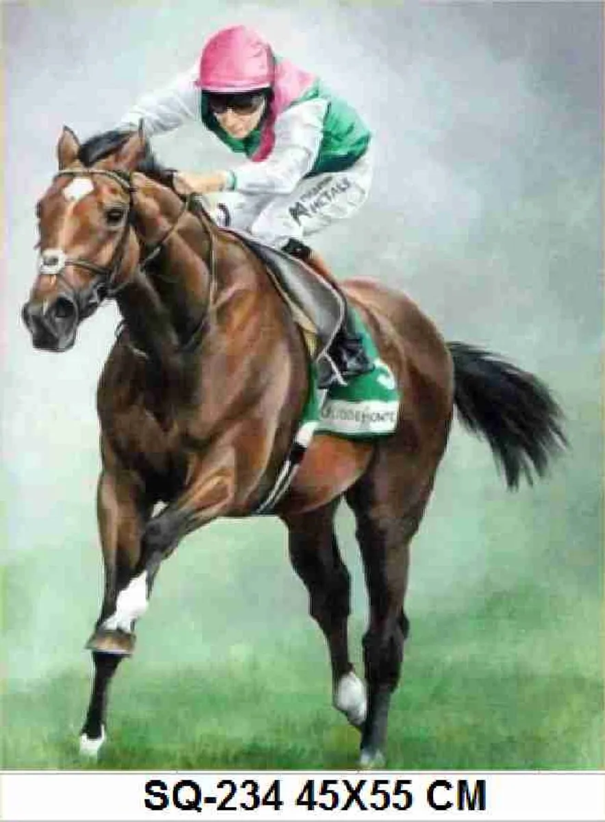 VDTOYS Diamond Painting VDTC234 Paardenkoers - 45x55cm