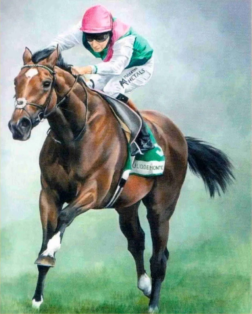VDTOYS Diamond Painting VDTC234 Paardenkoers