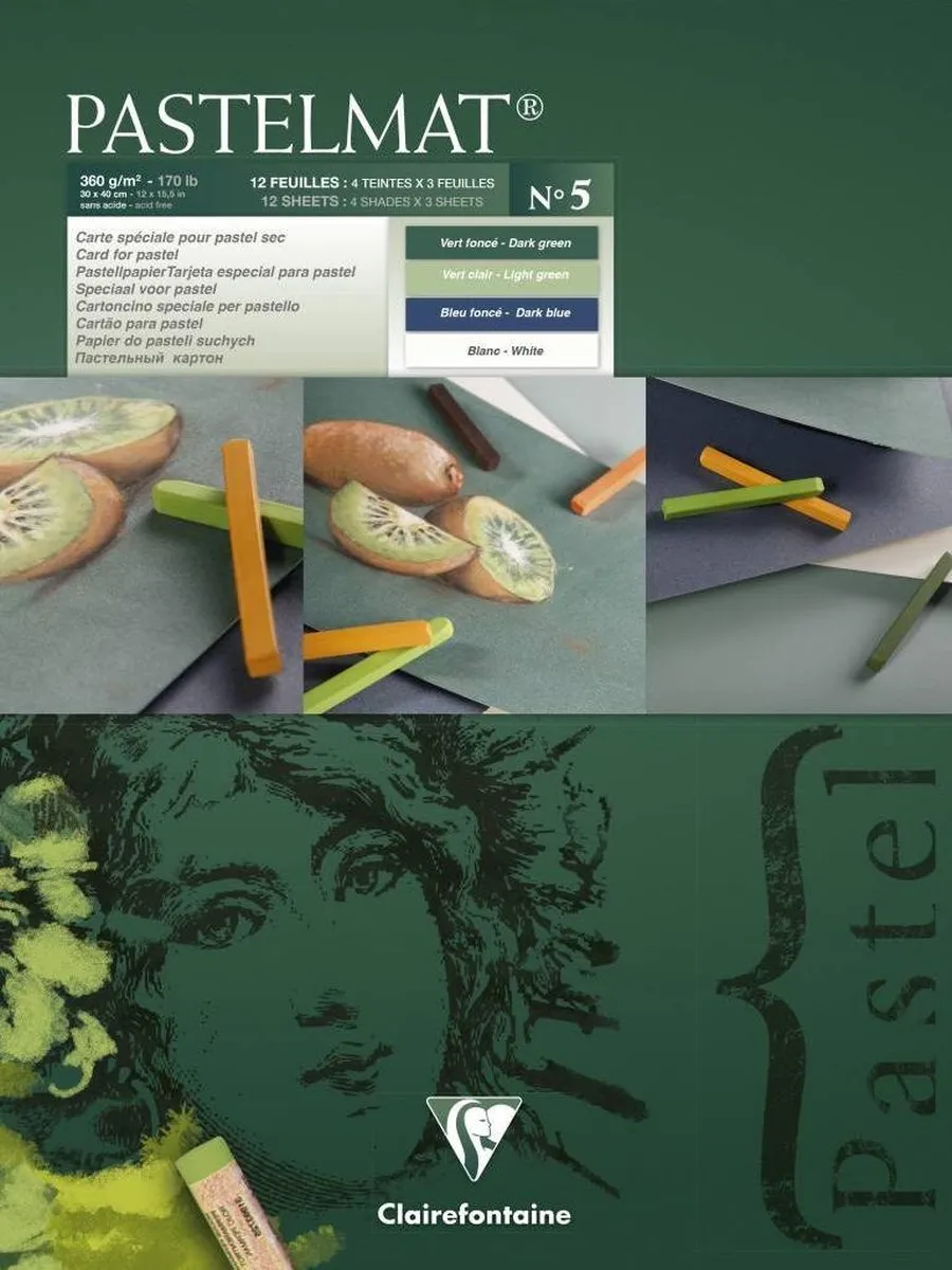 Clairefontaine Pastelmat nr 5 12 Vel