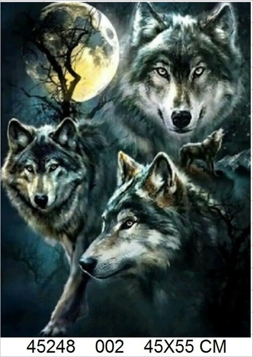 VDTOYS Diamond Painting VDT002 WOLVEN 1 - 45x55cm