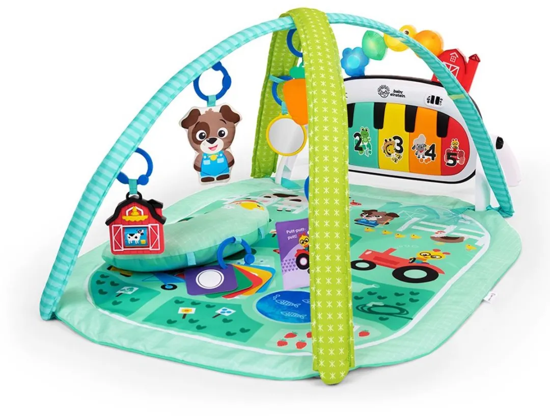 Baby Einstein Kickin' Tune Meadow Discovery Gym