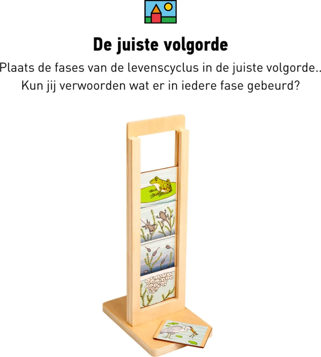 Toys for Life Levenscyclus Educatief Speelgoed - 40 Kaartjes