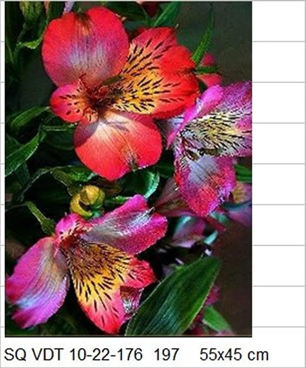 VDTOYS Diamond Painting VDTC197 - Groot formaat 45x55cm - Flower 14