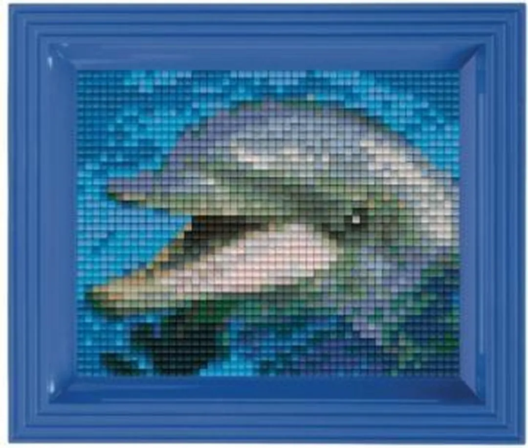 Pixelhobby Dolfijn Geschenkverpakking 31001