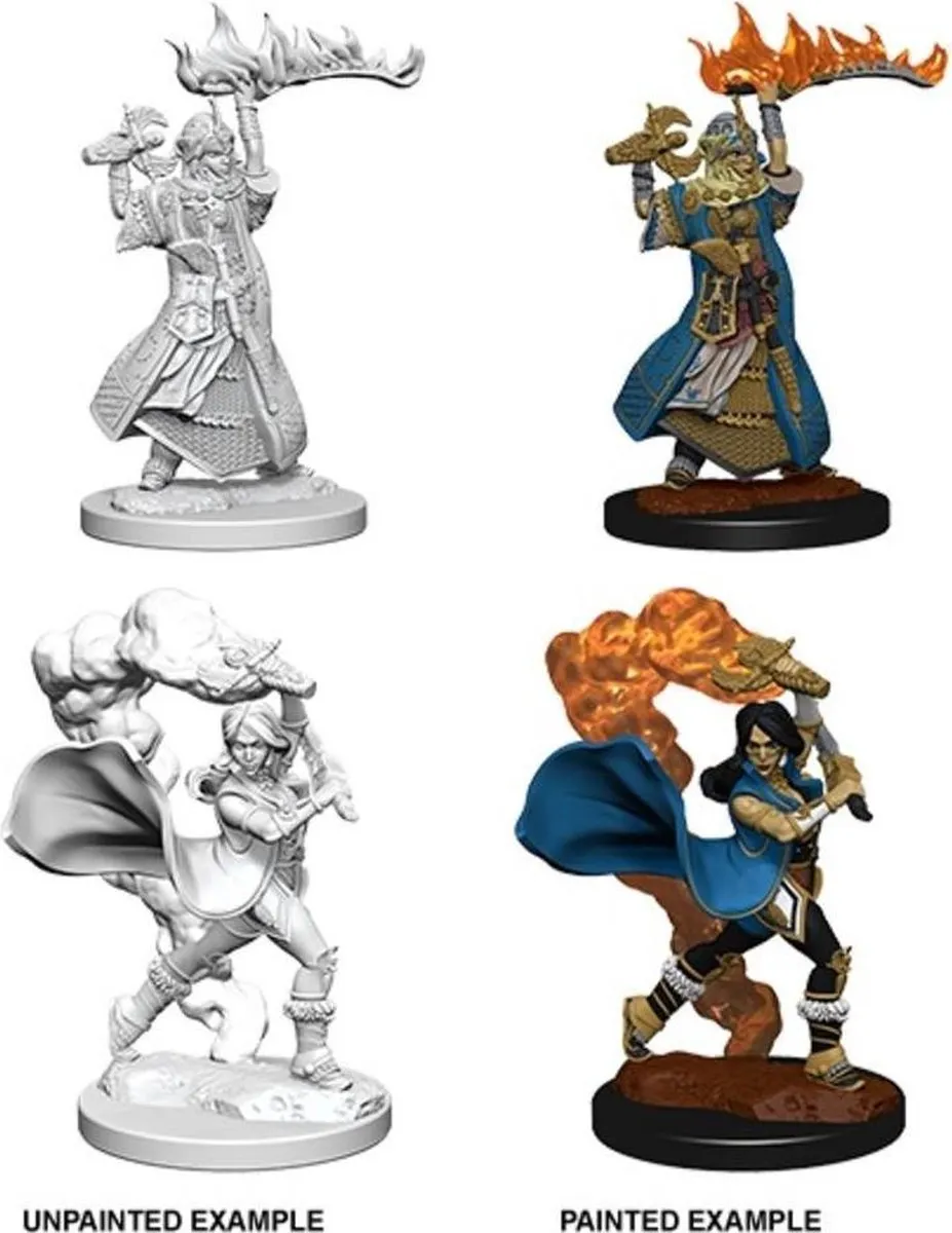 Wizkids Pathfinder Battles Deep Cuts Human Female Cleric WZK90177