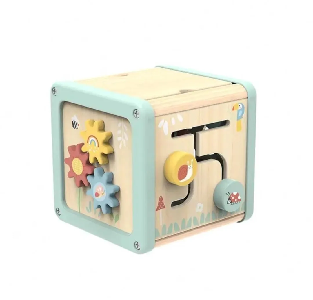 Tooky Toy Houten Activiteitenkubus TJ006 - Multi Color