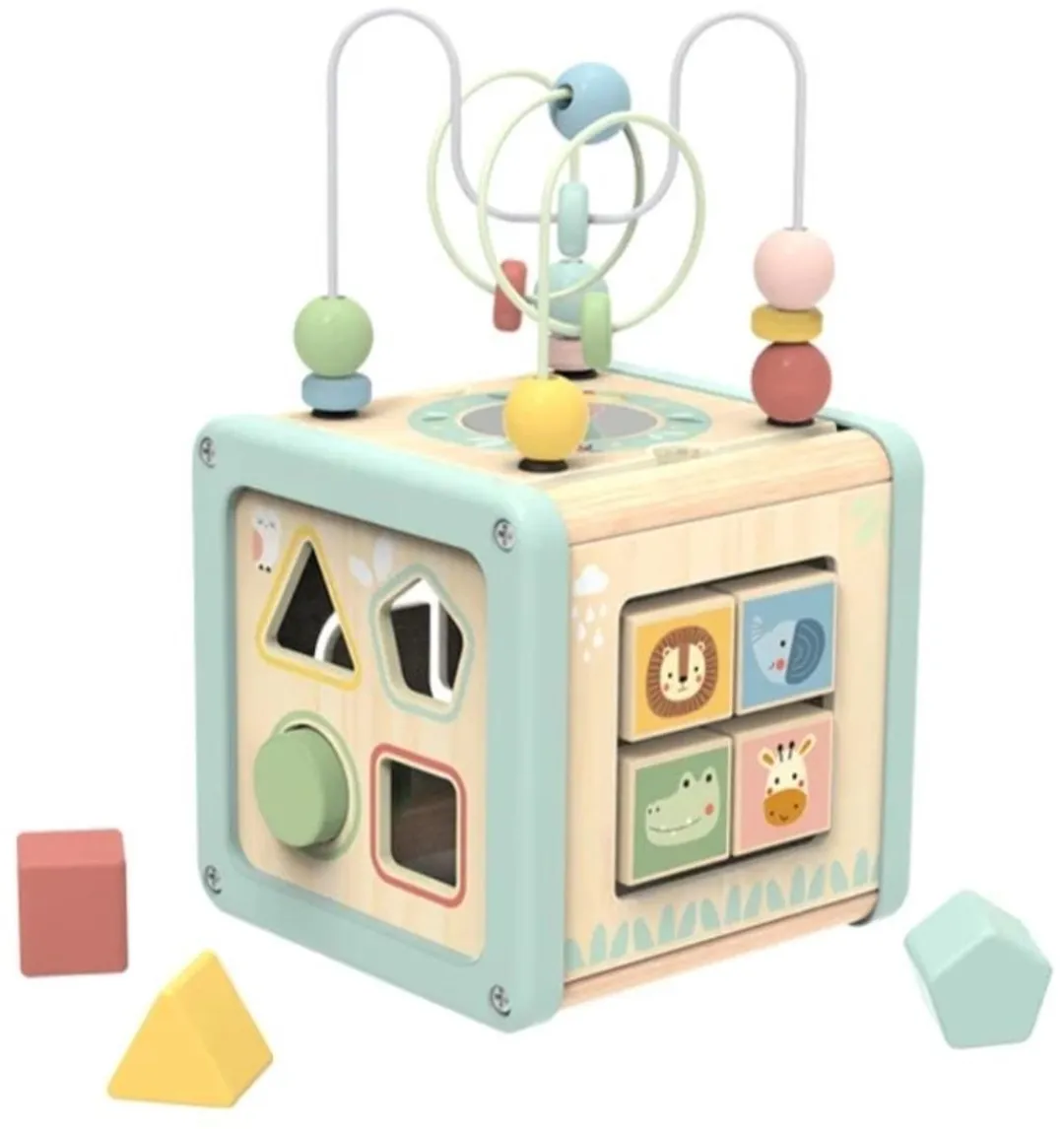 Tooky Toy Houten Activiteitenkubus TJ006 - Multi Color