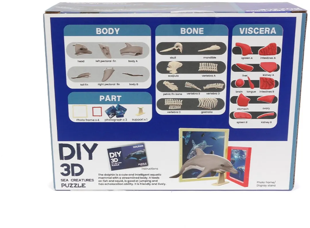 PIA Soft Toys Dolfijn 3D Anatomie Puzzle - 5 Spelers
