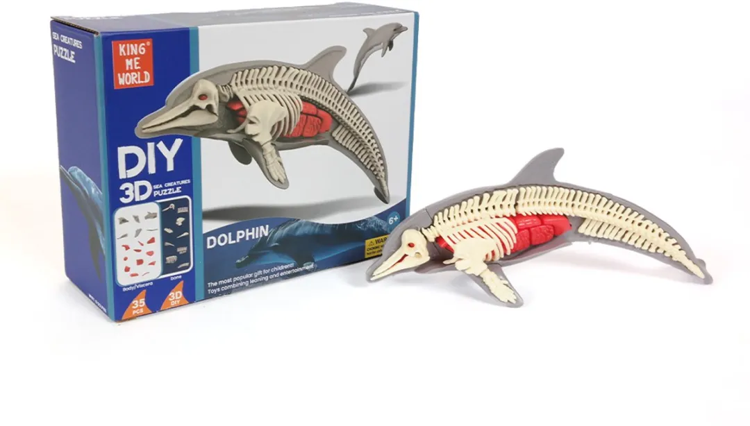 PIA Soft Toys Dolfijn 3D Anatomie Puzzle