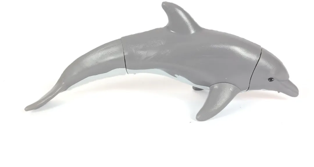 PIA Soft Toys Dolfijn 3D Anatomie Puzzle - 5 Spelers - afbeelding 6 van 6