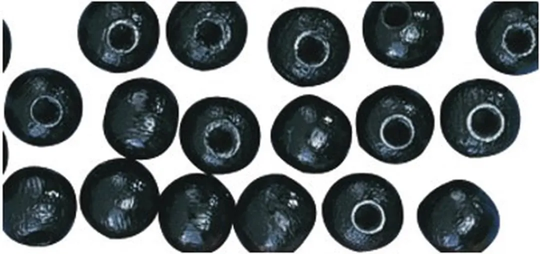 Rayher Hobby Houten Kralen Ø10mm - 52 Stuks Zwart