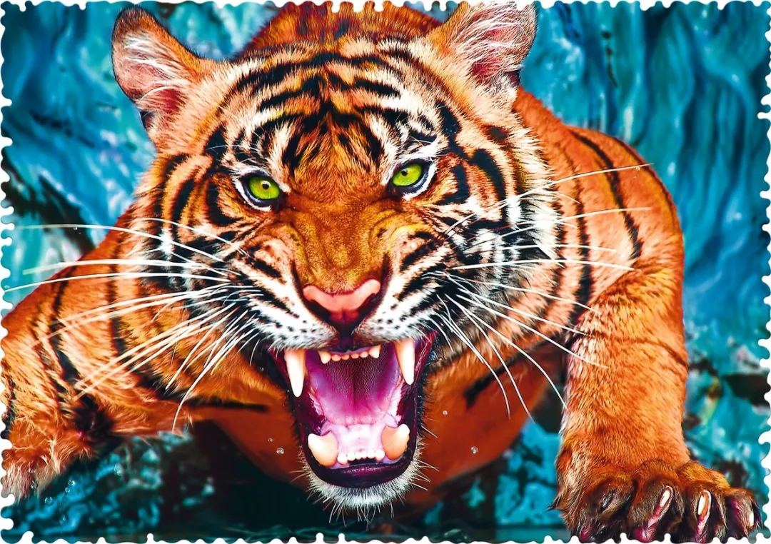 Trefl 600CS Puzzel - 500 Stuks - Multicolor