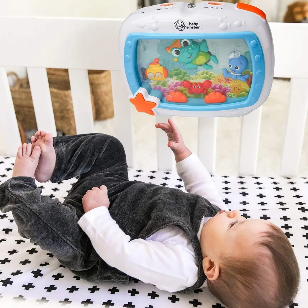 Baby Einstein Sea Dreams Soother - Meerkleurig