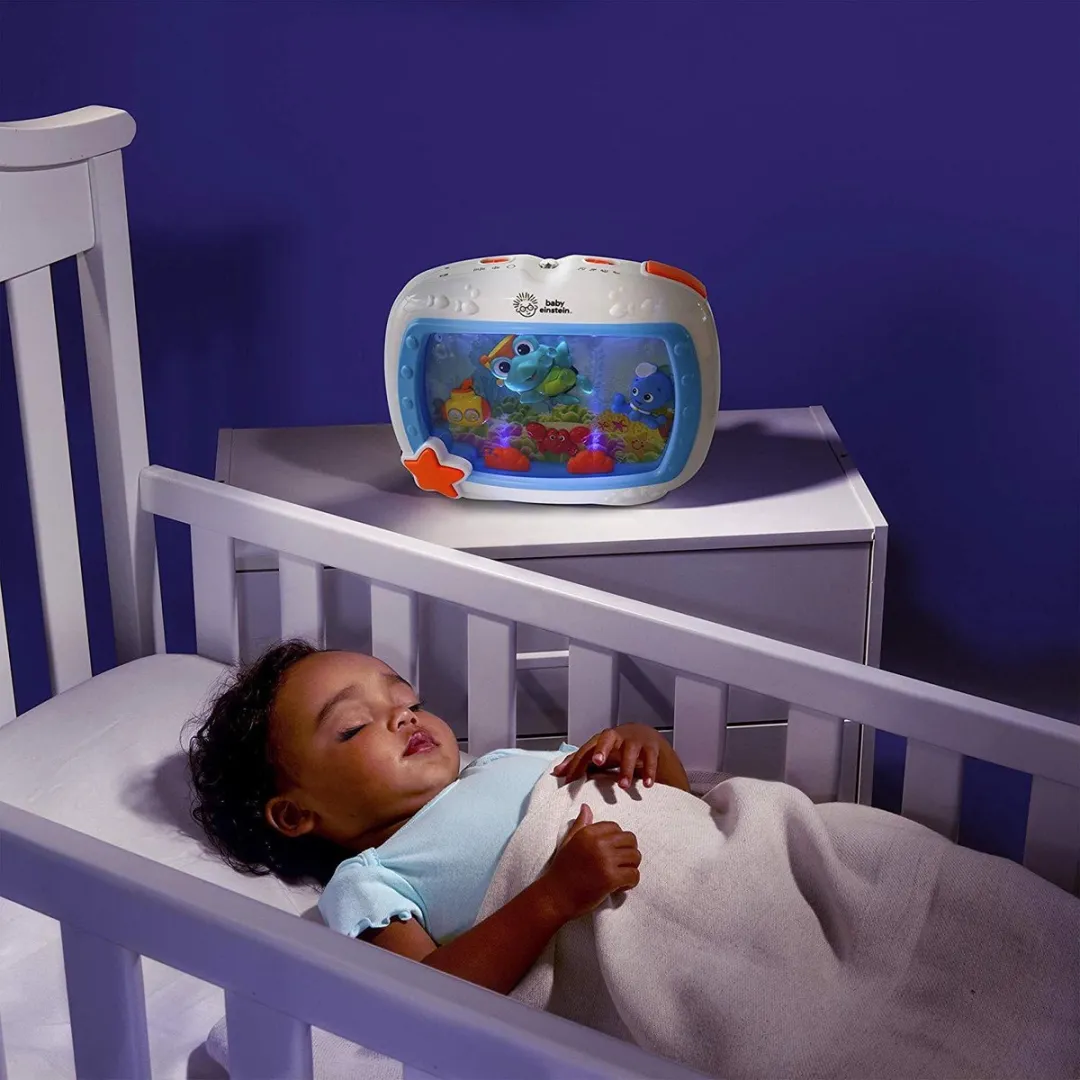 Baby Einstein Sea Dreams Soother - Meerkleurig