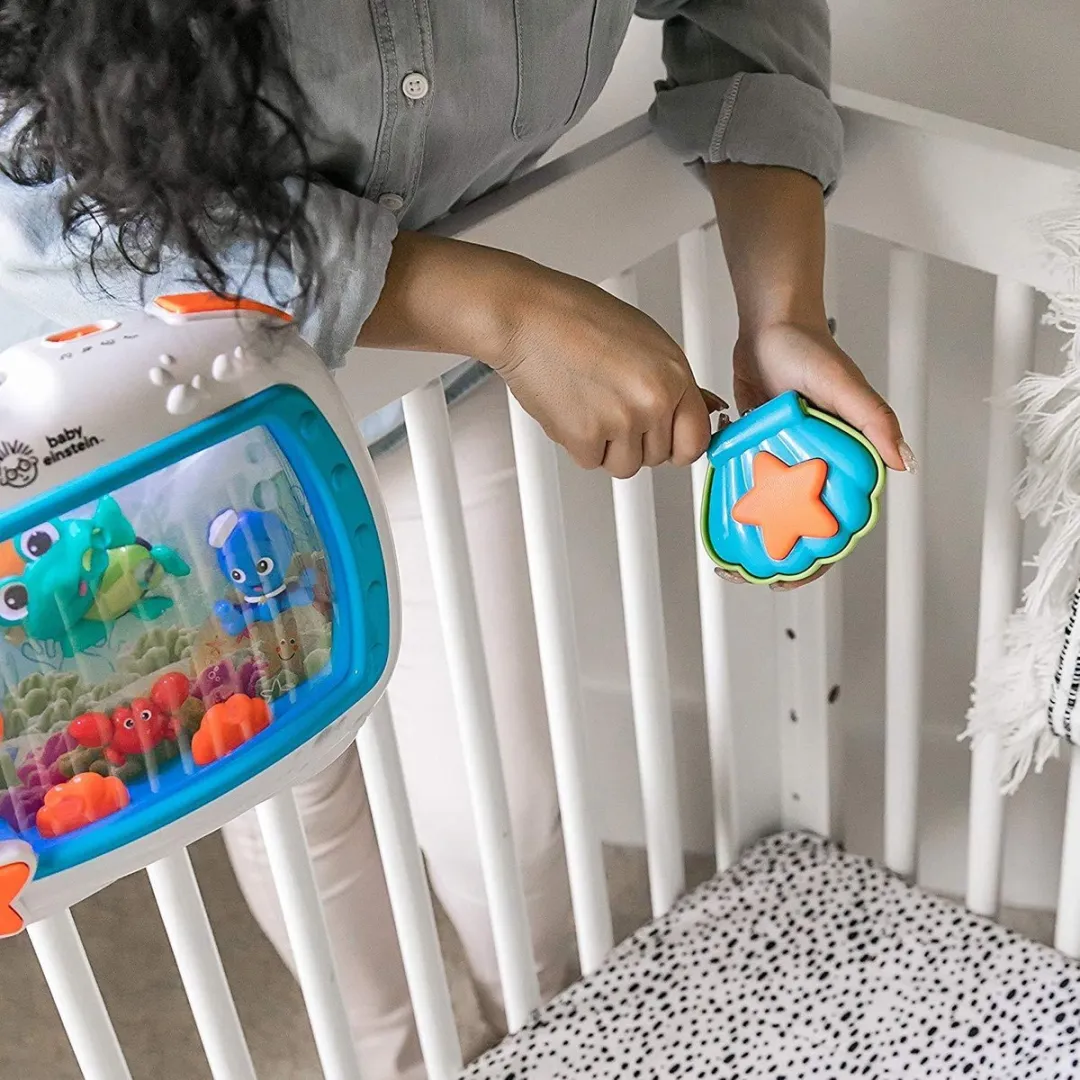 Baby Einstein Sea Dreams Soother - Meerkleurig