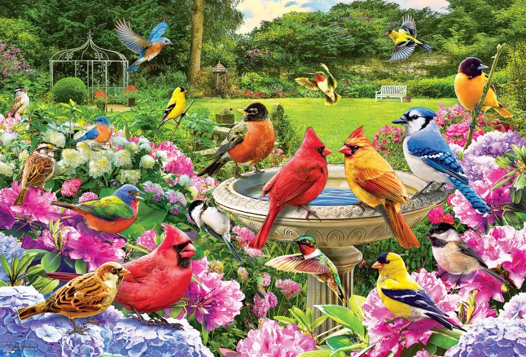 Eurographics Vogels Puzzel 2000 Stuks - Multicolor
