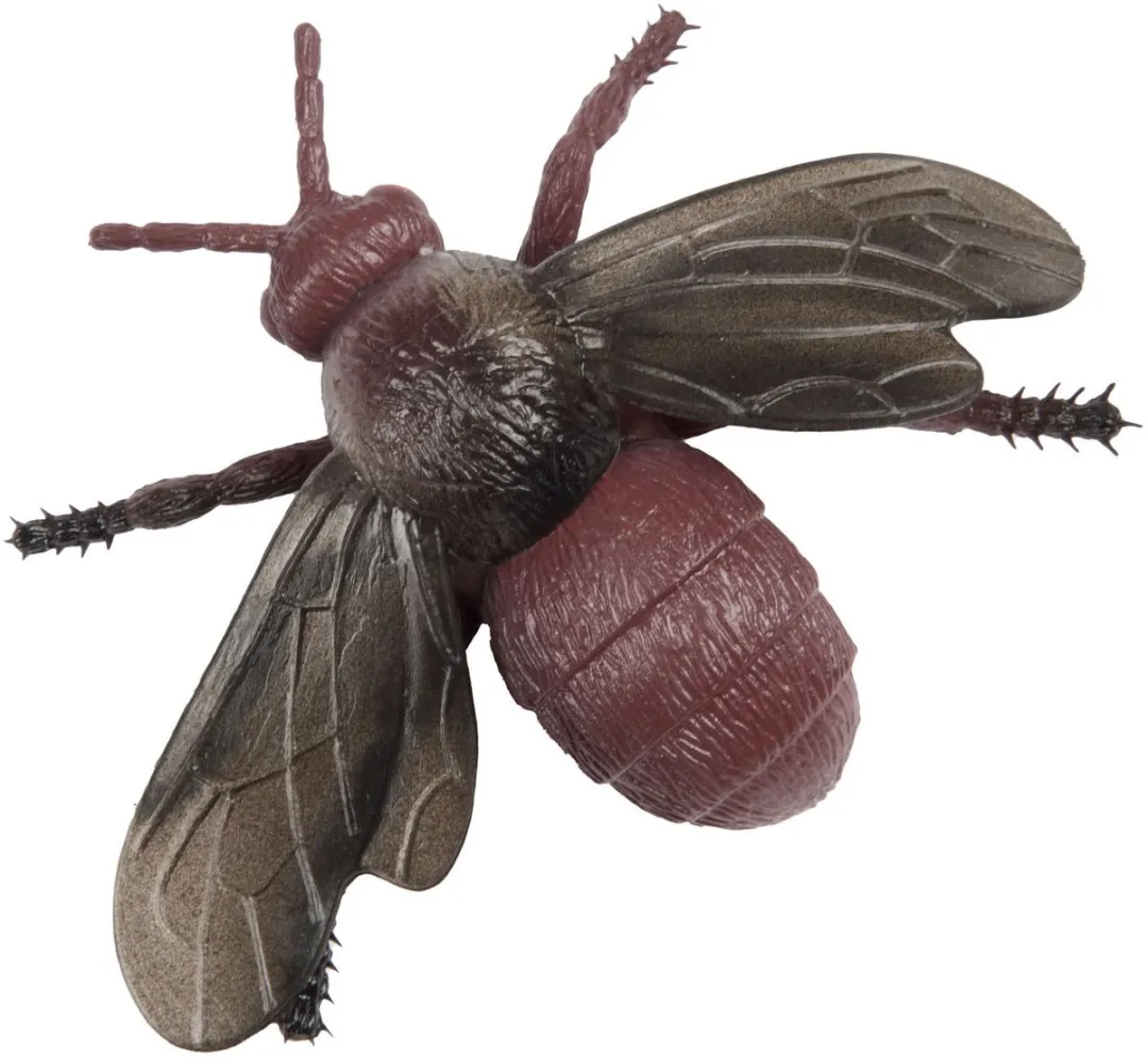 Toi-Toys Animal World Grote Griezel Insect 39976Z - Multicolor
