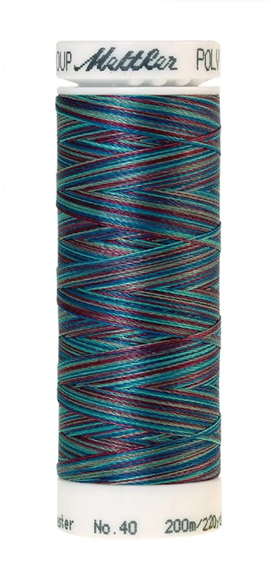 Amann Mettler Poly Multi Borduurgaren 9970 - 200m - Multicolor