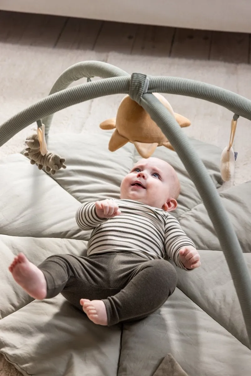 Sebra Babygym Speelmat Woodland - Groen