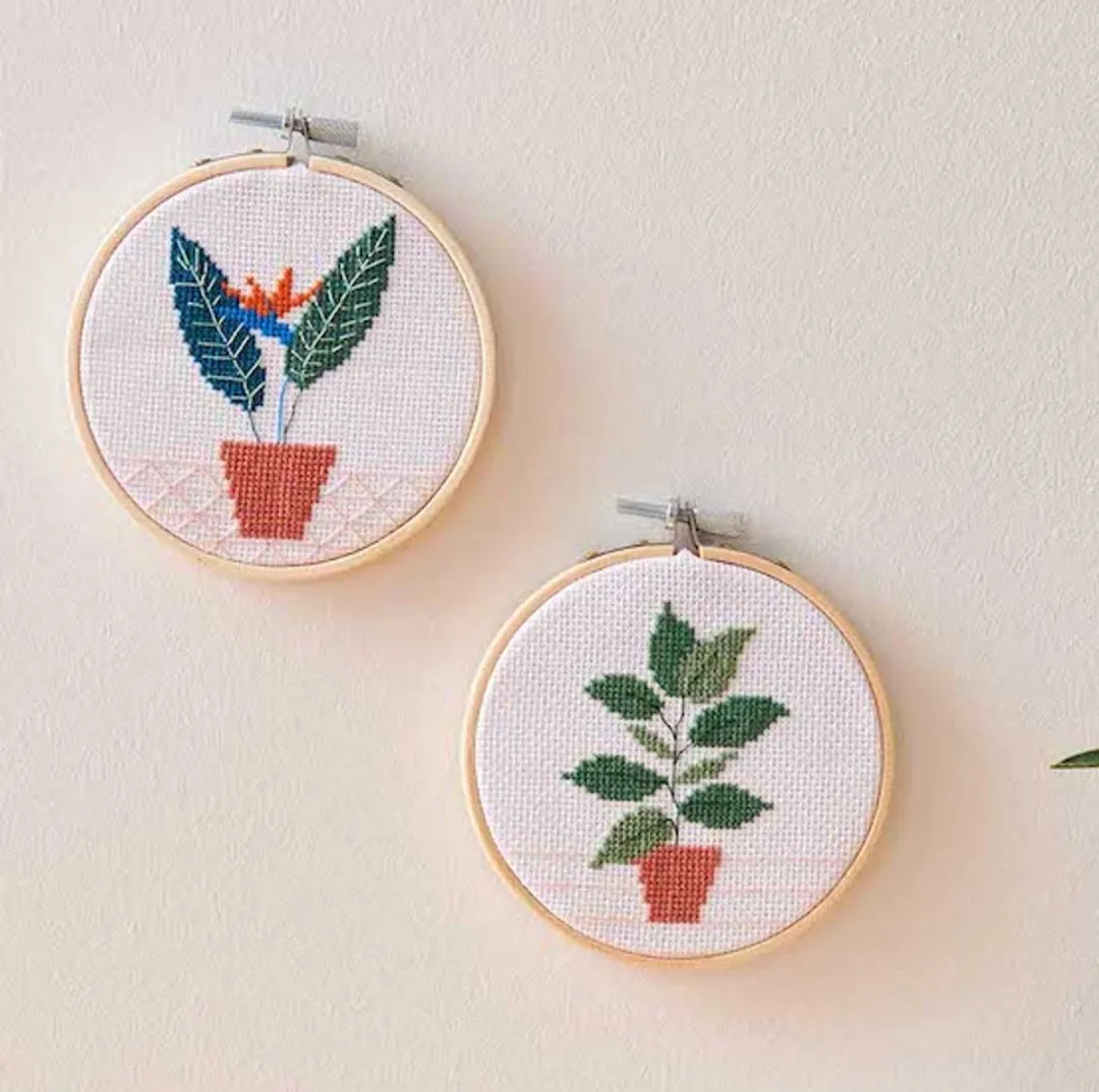 Rico Design Strelitzia Borduurpakket