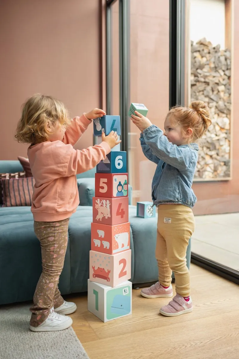 BS Toys Stapeltoren Meerkleurig - 10 Stuks
