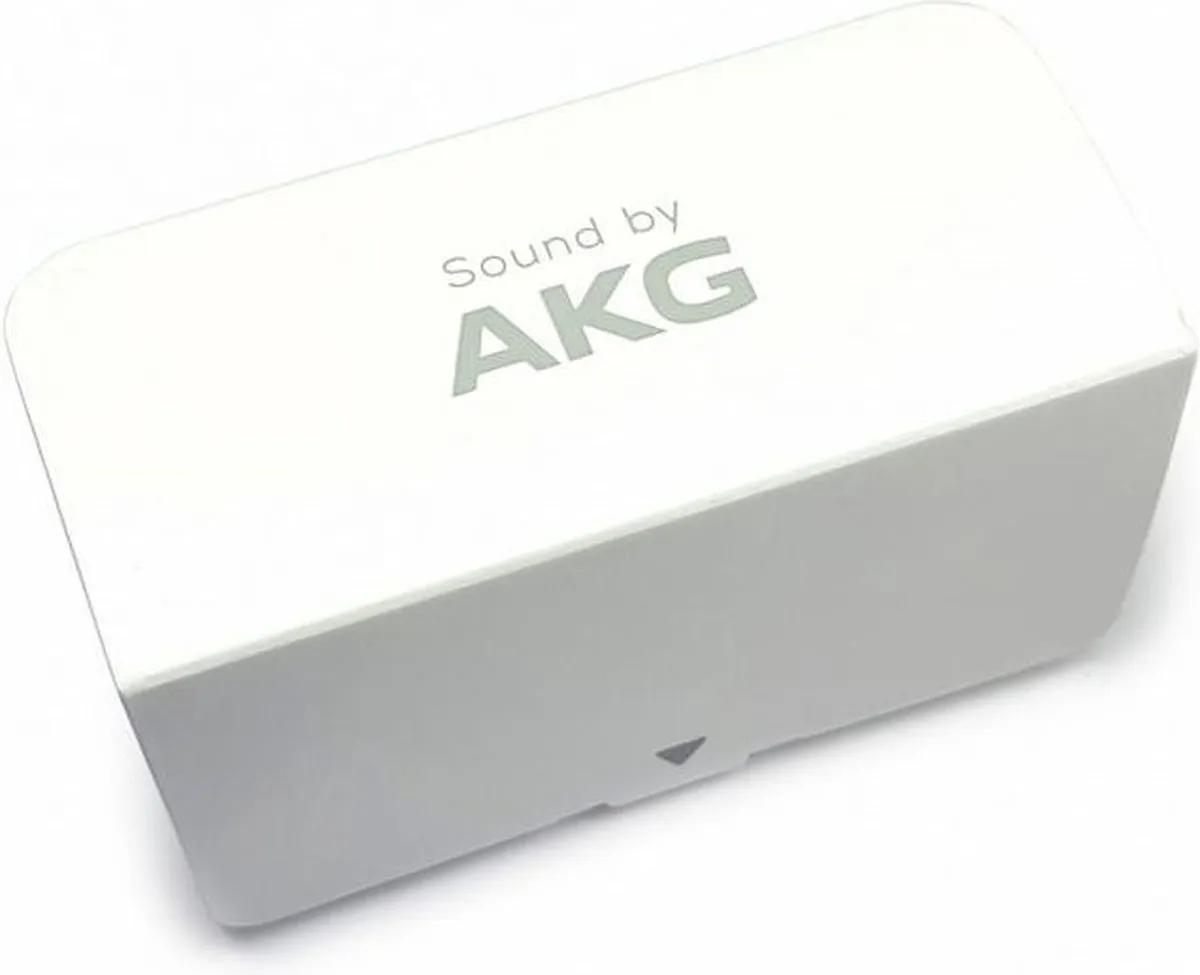 Samsung AKG Type-C EO-IC100BWEGWW Oordopjes - USB-C - Wit