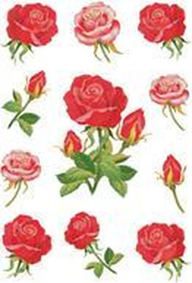 Herma Rozenbloesems Stickers 33 Stuks