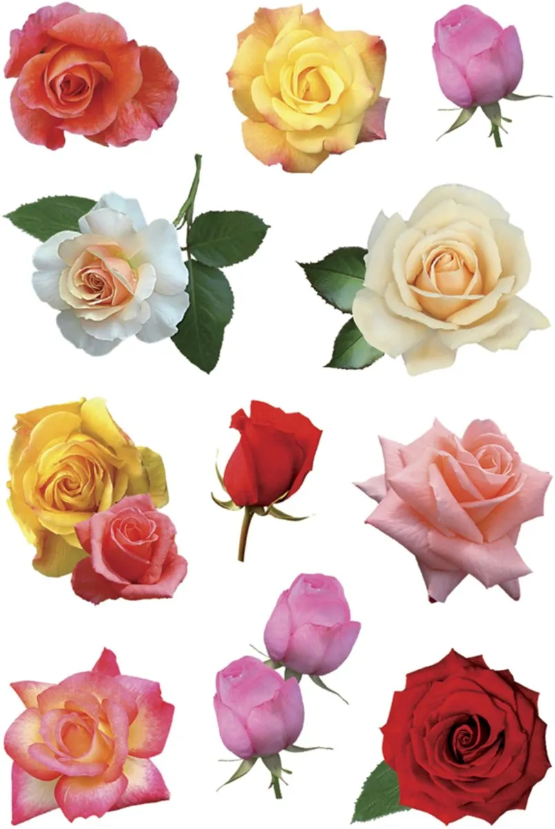 Herma Rozenbloesems Stickers 33 Stuks