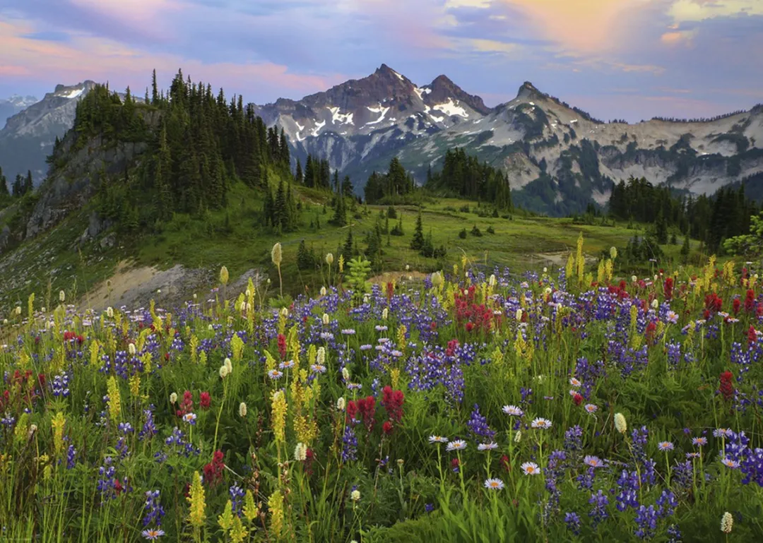 Heye Tatoosh Mountains Legpuzzel 2000 Stuks - Multicolor