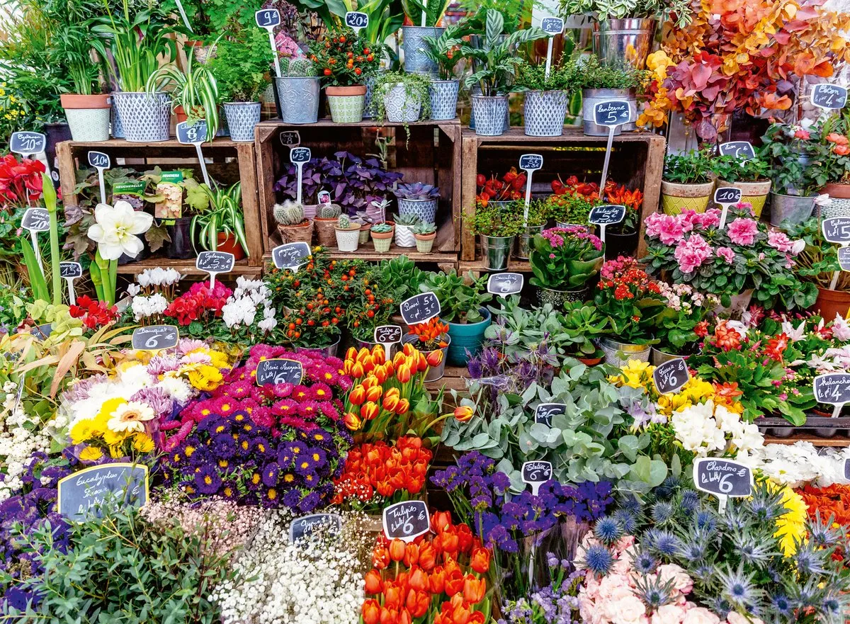 Ravensburger Bloemenmarkt Frankrijk Legpuzzel 500 Stuks - Meerkleurig