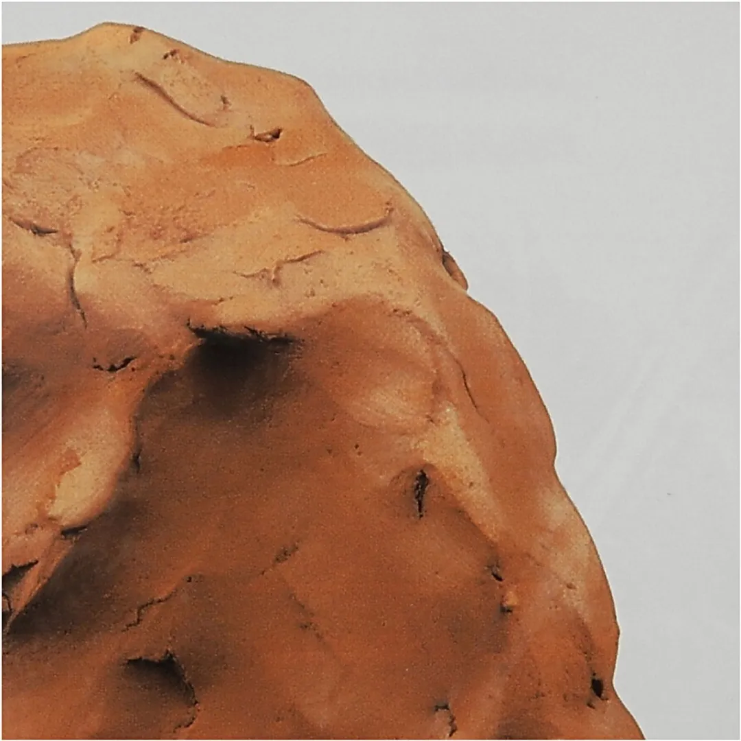 Creativ Company Terracotta Luchtdrogende Klei - 12x1000g
