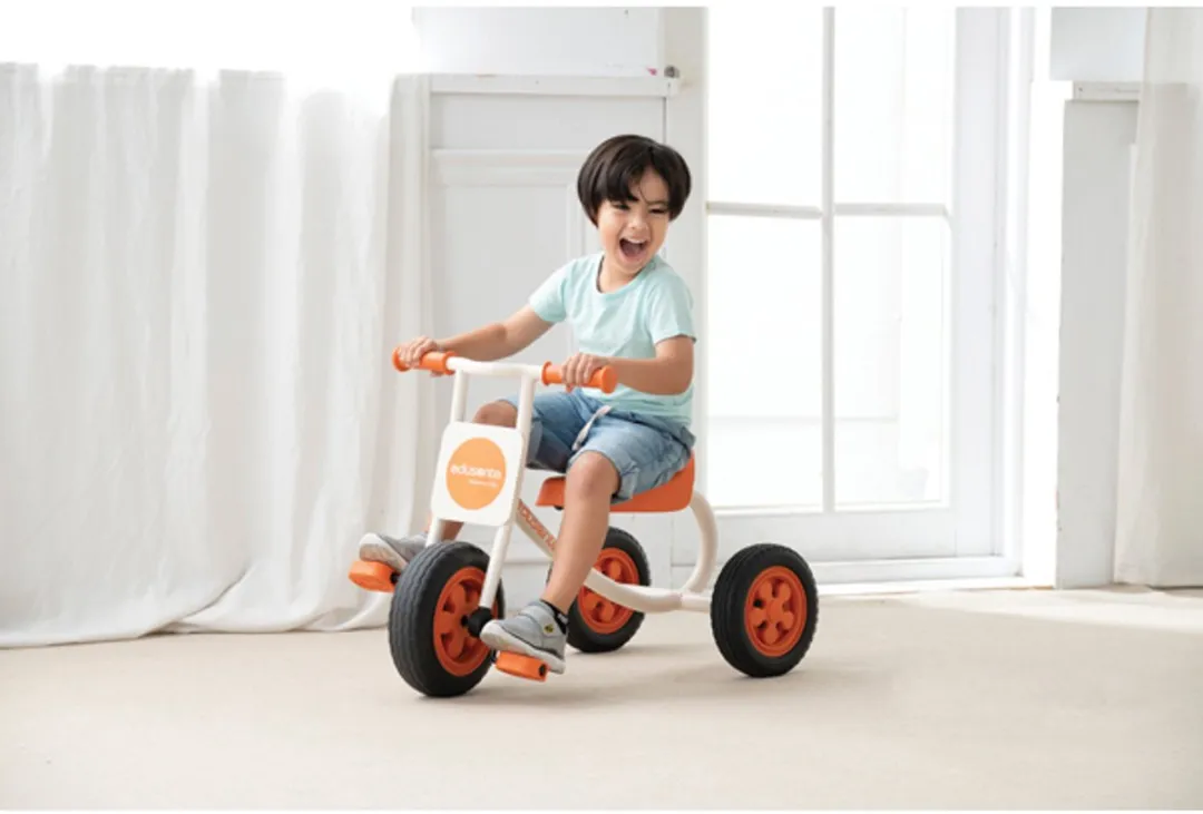 Eduplay Trike Driewieler Medium Multicolor
