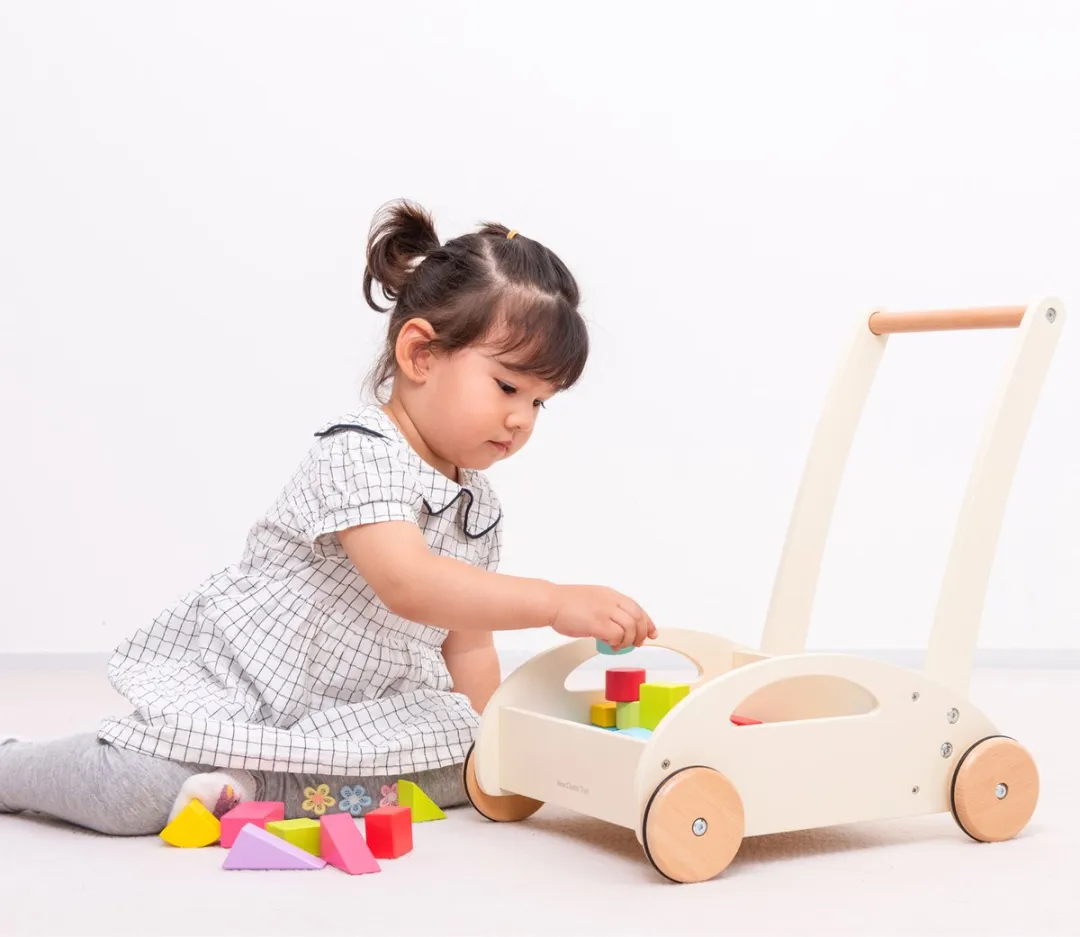 New Classic Toys Houten Blokkenkar - 36 Blokken