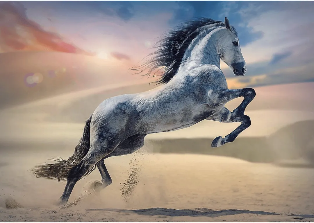 Trefl Legpuzzel Majestic Horse 1000 Stuks - Multicolor