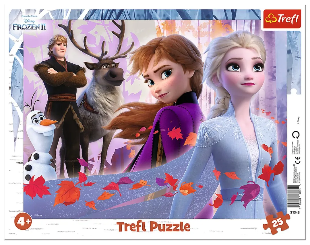 Frozen Puzzel
