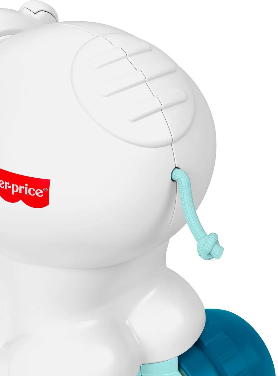 Fisher-Price Kruipbeer JDL63 - Multicolor