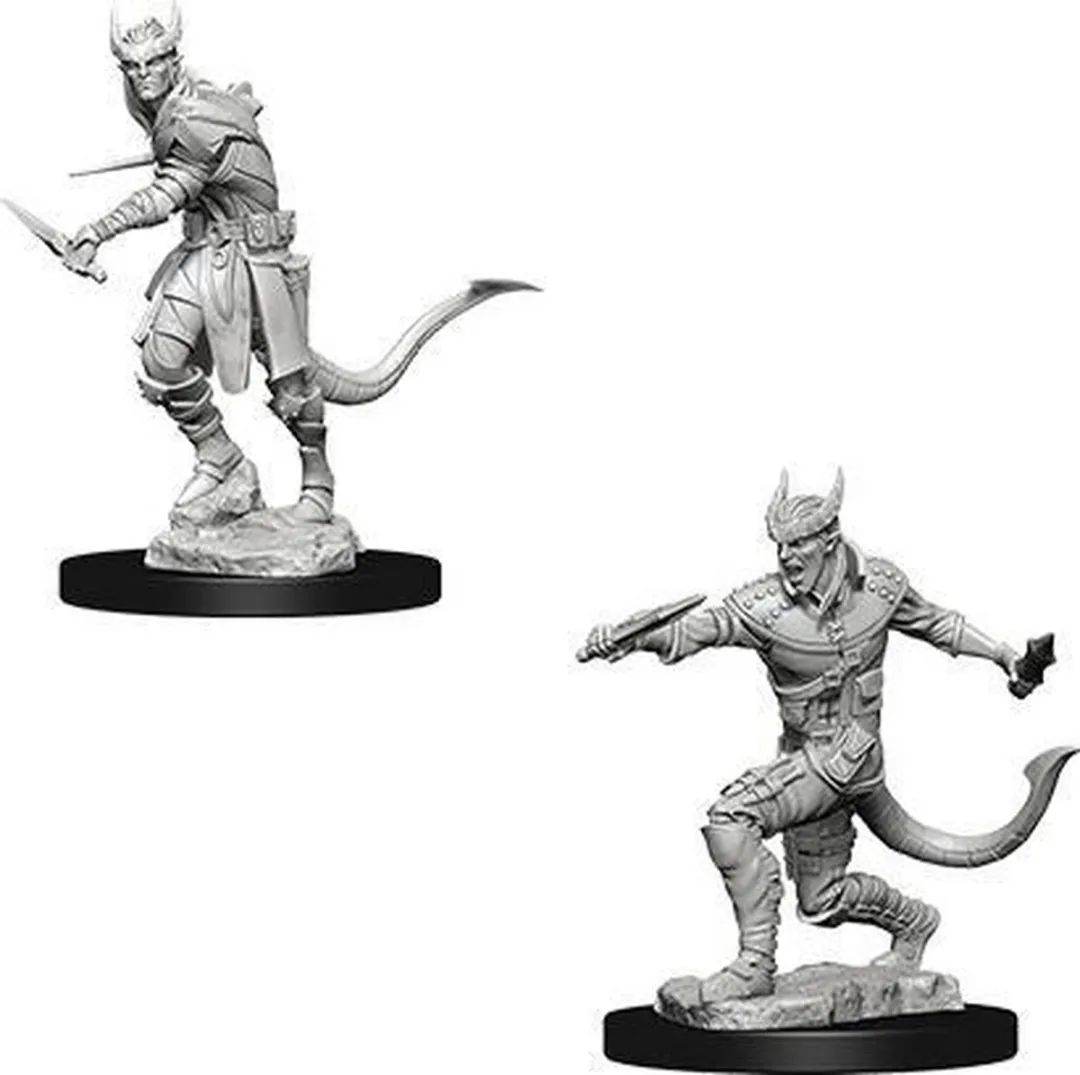 Wizkids D&D Miniatures Tiefling Male Rogue L4PC-00081057