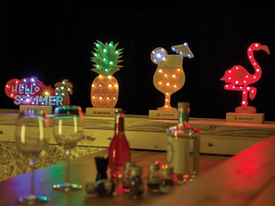 Whadda WSXL105/SET Soldeerkit - 19 RGB LED's - Educatief