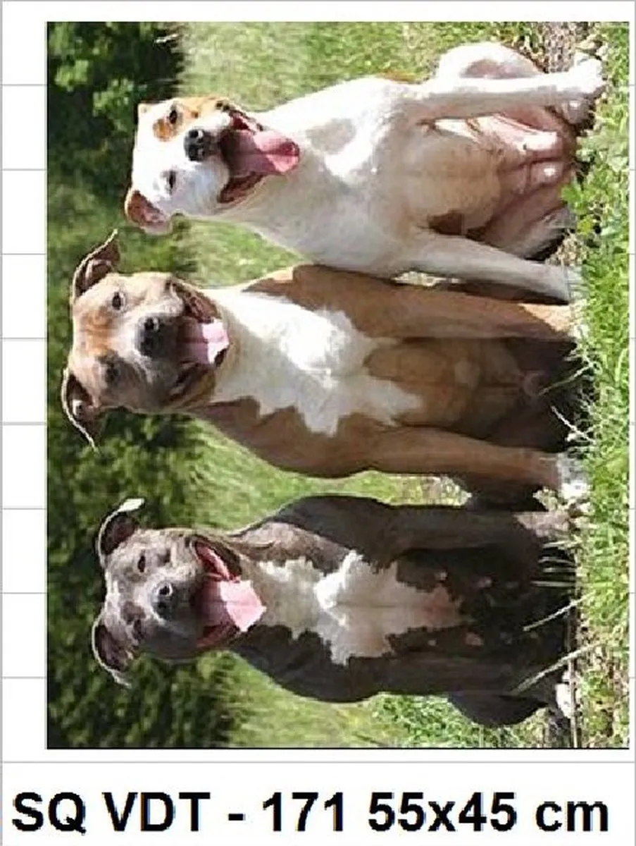 VDTOYS Diamond Painting VDTB171 Cute Dogs - 55x45cm
