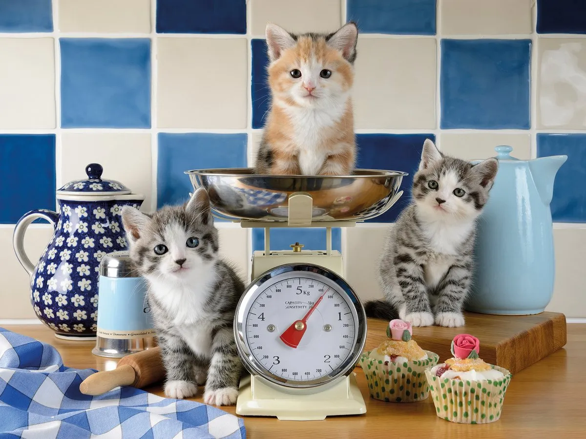 Ravensburger Katjes in de Keuken Legpuzzel 1500 Stuks - Meerkleurig